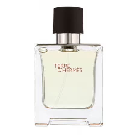Hermès Terre d'Hermès Eau de Toilette pour Homme - 30ML